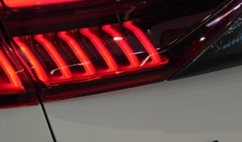 AUDI RS Q8 2023 full